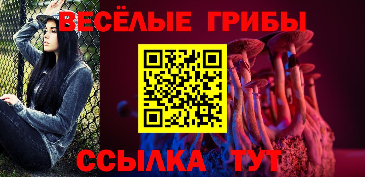 Псилоцибиновые грибы Psilocybine cubensis  Псилоцибиновые грибы мухоморы  Фурманов  Вход с VPN 